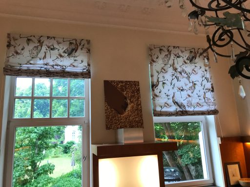 Zwei Faltrollos in einer Villa am Rhein in Bonn